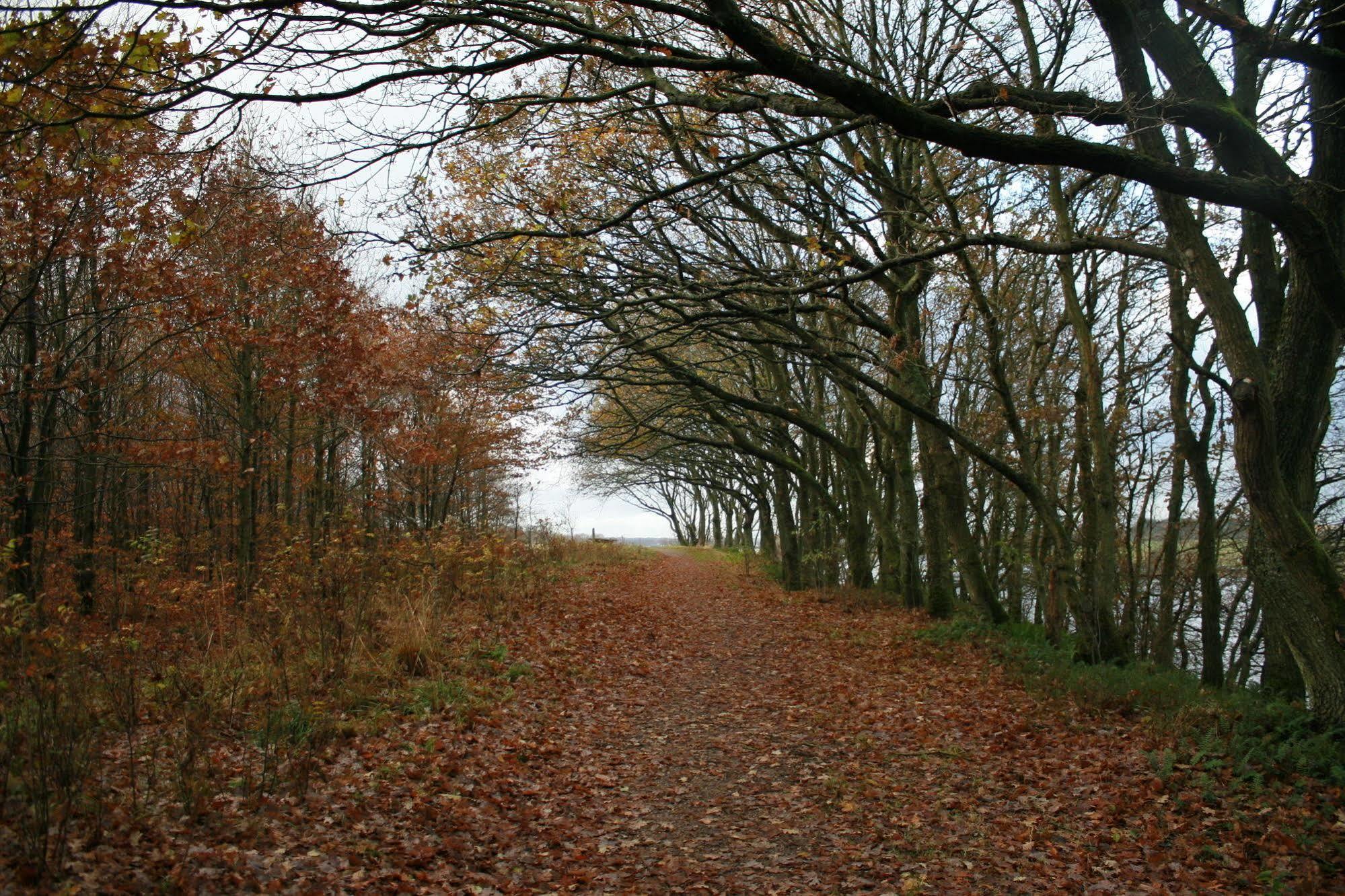 Mejrup Bed And Breakfast Holstebro Esterno foto